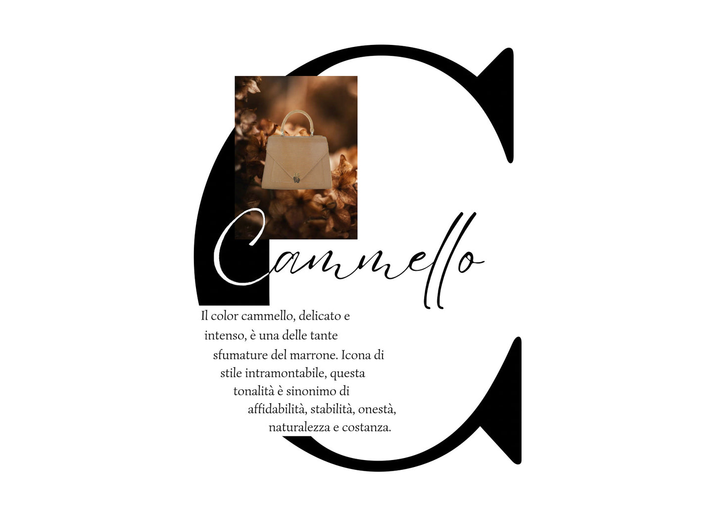 Genesi Medium Cammello